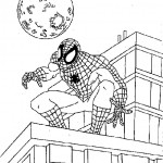 Spiderman 16