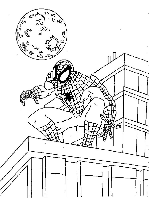 spiderman 16